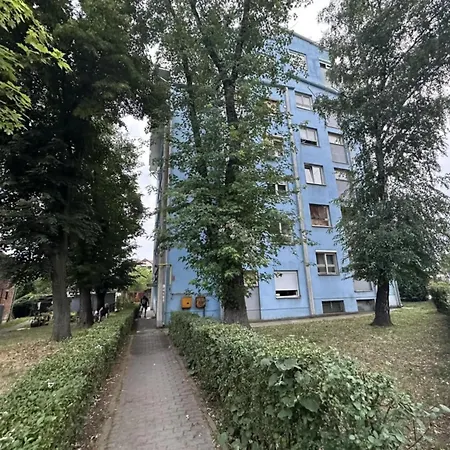 Delfin * Kragujevac