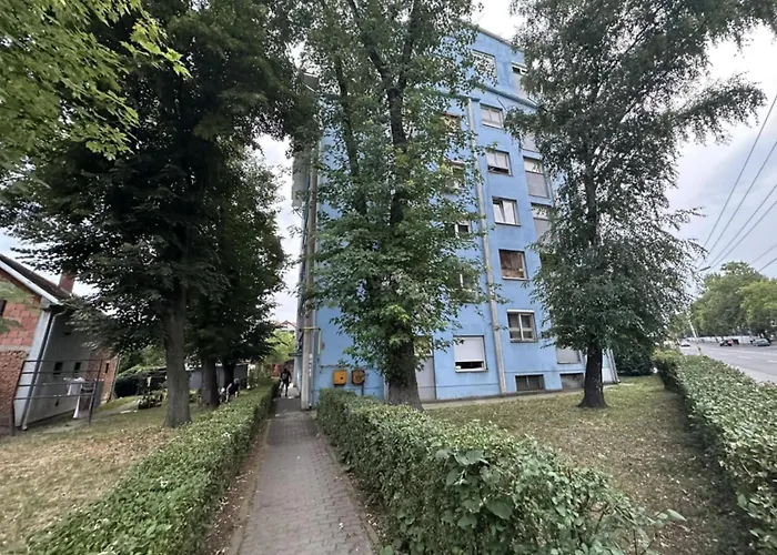 Delfin * 克拉古耶瓦茨