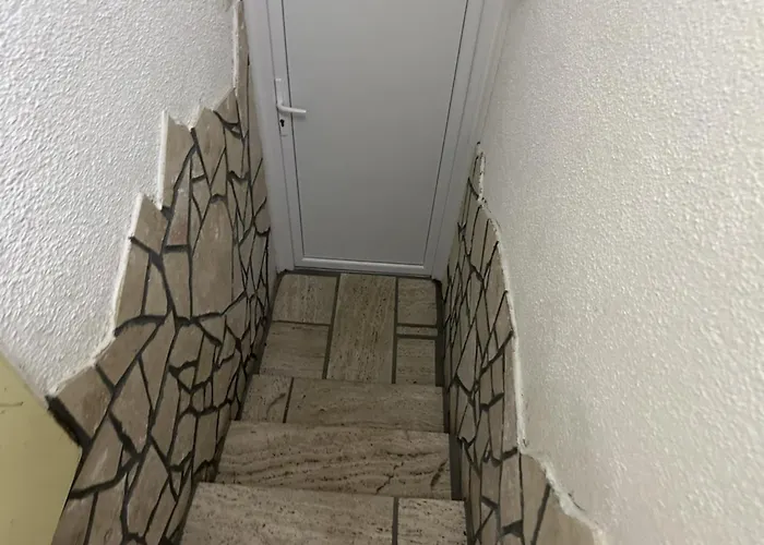 Delfin * 克拉古耶瓦茨